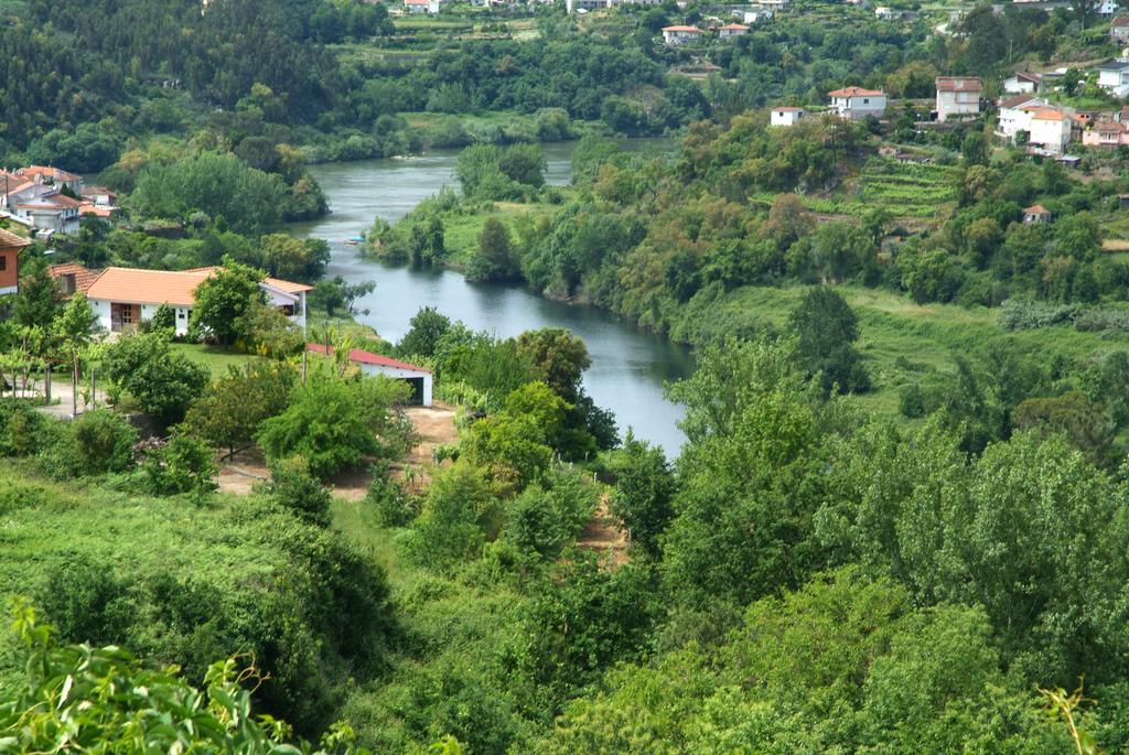 Отель Quinta Das Vessadas Каштелу-ди-Пайва Экстерьер фото